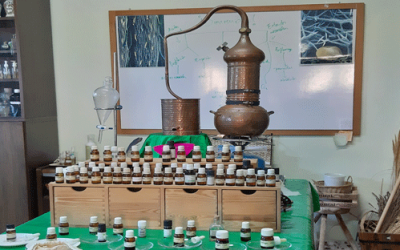 Curso de Destilación de Plantas, Perfumes y Colonias naturales