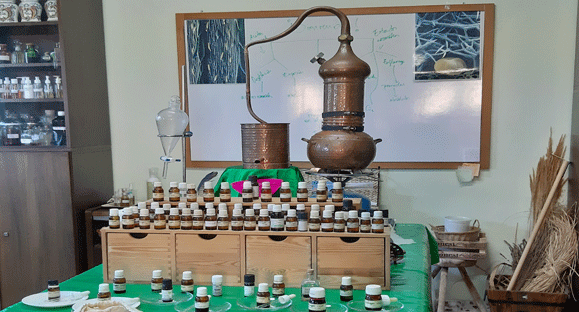Curso de Destilación de plantas Aromáticas en Corazón Verde