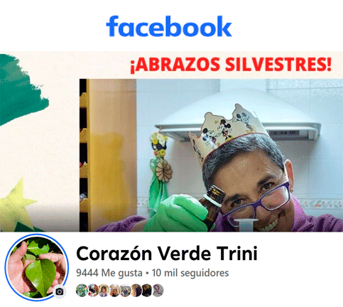 Canal Facebook de Corazón Verde